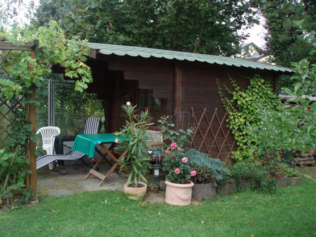 Ferienwohnung Anna Scheid Kelberg Esterno foto